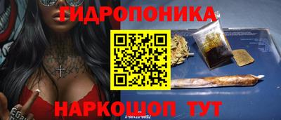 эйфоретик Можга