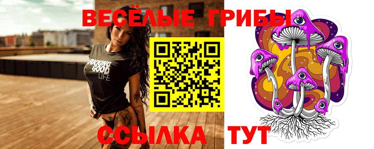 Черкесск  Псилоцибиновые грибы мухоморы  Вход с VPN 